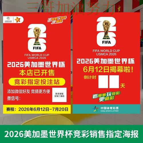 世界杯投注网站大全是否安全靠谱吗？数据分析结果来了（2026世界杯）